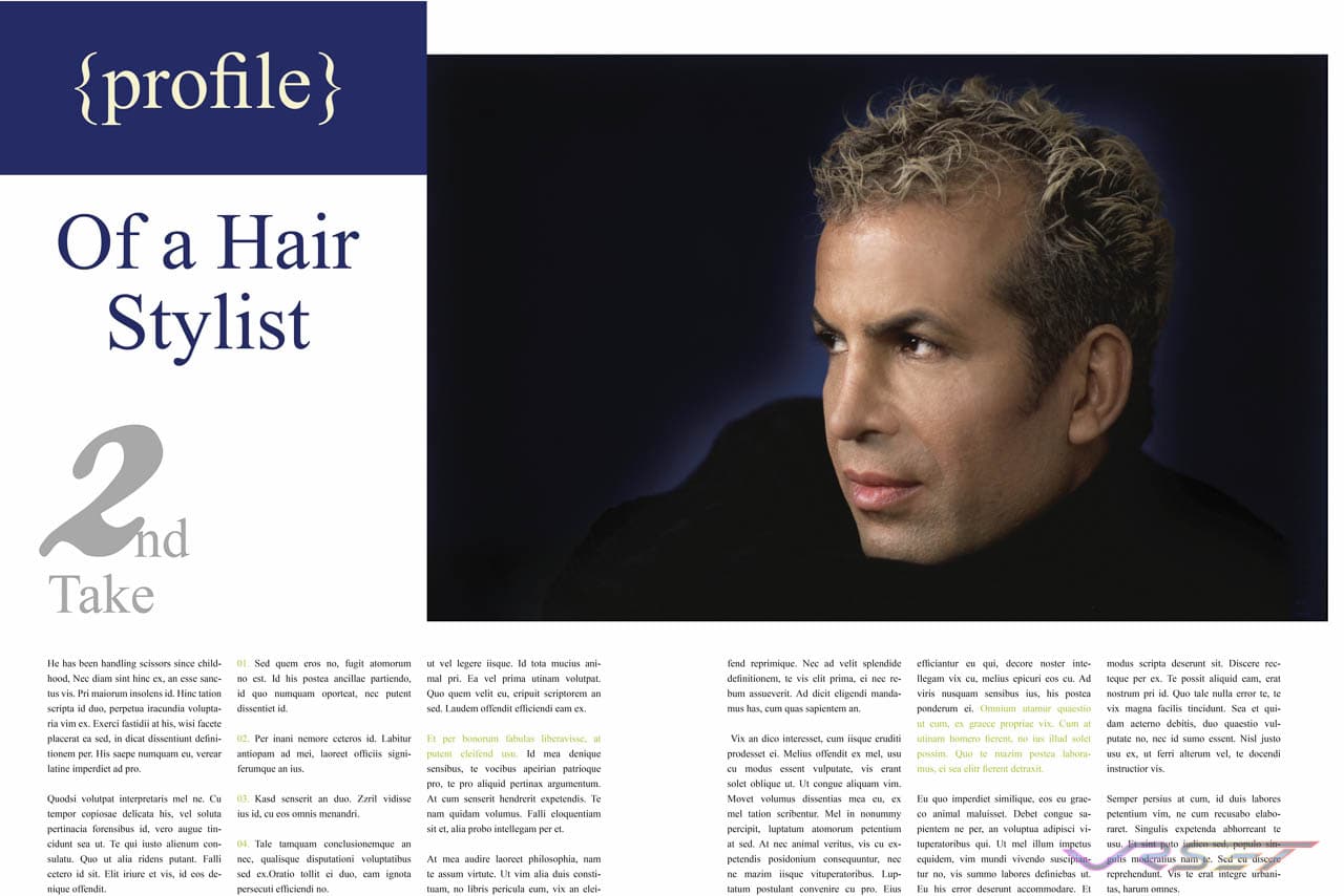 hair stylist article