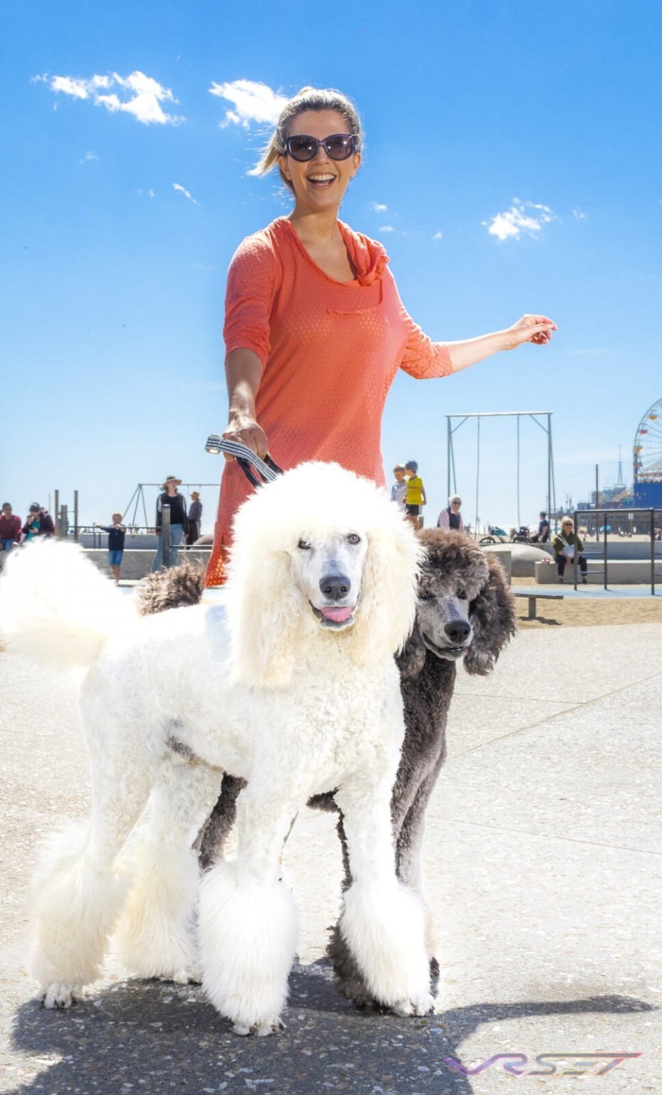 California-Woman-Black-White-Poodle-Dogs-Top-Fashion-Photographer-Los-Angeles-Orange-County-Video-Production-David-Victory_MG_8583 California Woman Black White Poodle Dogs Top Fashion Photographer Los Angeles Orange County Video Production David Victory