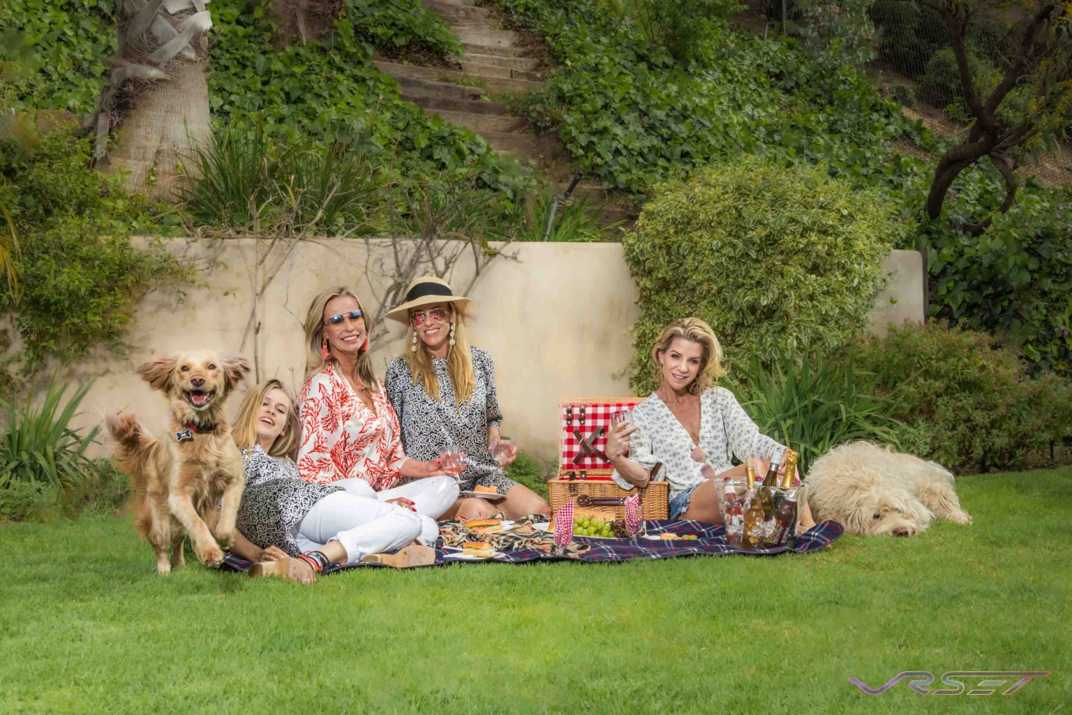 Group Picnic With Two Dogs Lifestyle Photo David Victory Group Picnic With Two Dogs Lifestyle Photo David Victory